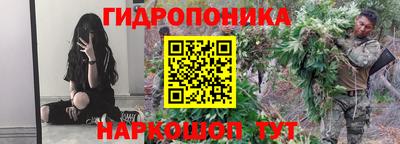 гашик Обнинск
