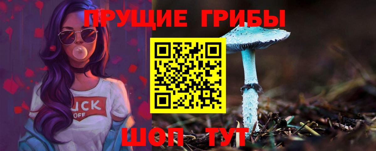 Псилоцибиновые грибы мицелий  Галлюциногенные грибы Cubensis  Тара  Вход с VPN 